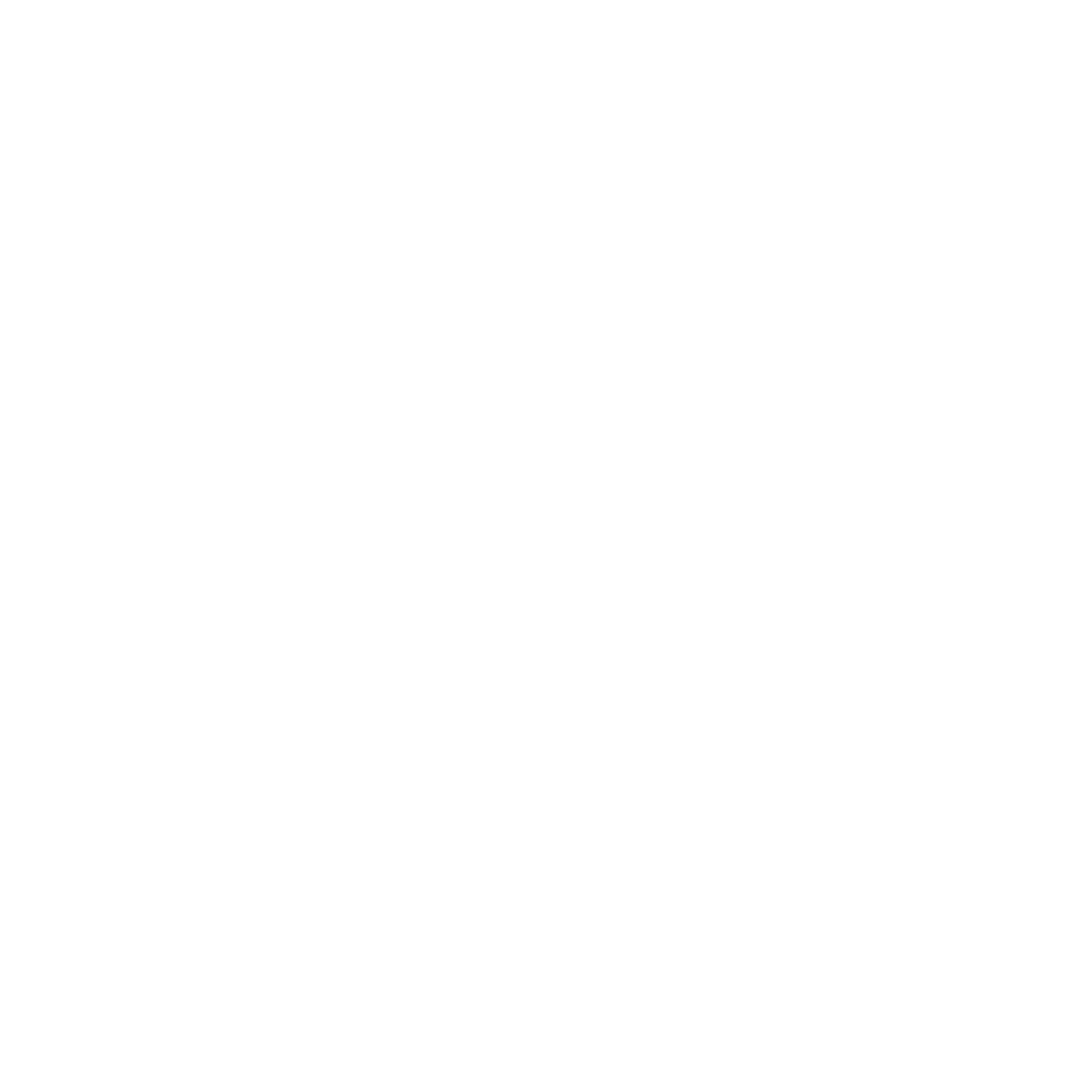 FlexiSpot